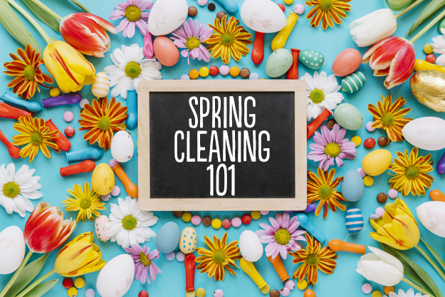 Spring Clean Your Career Current Wellness - Ocean Image Collection - Desktop Quality